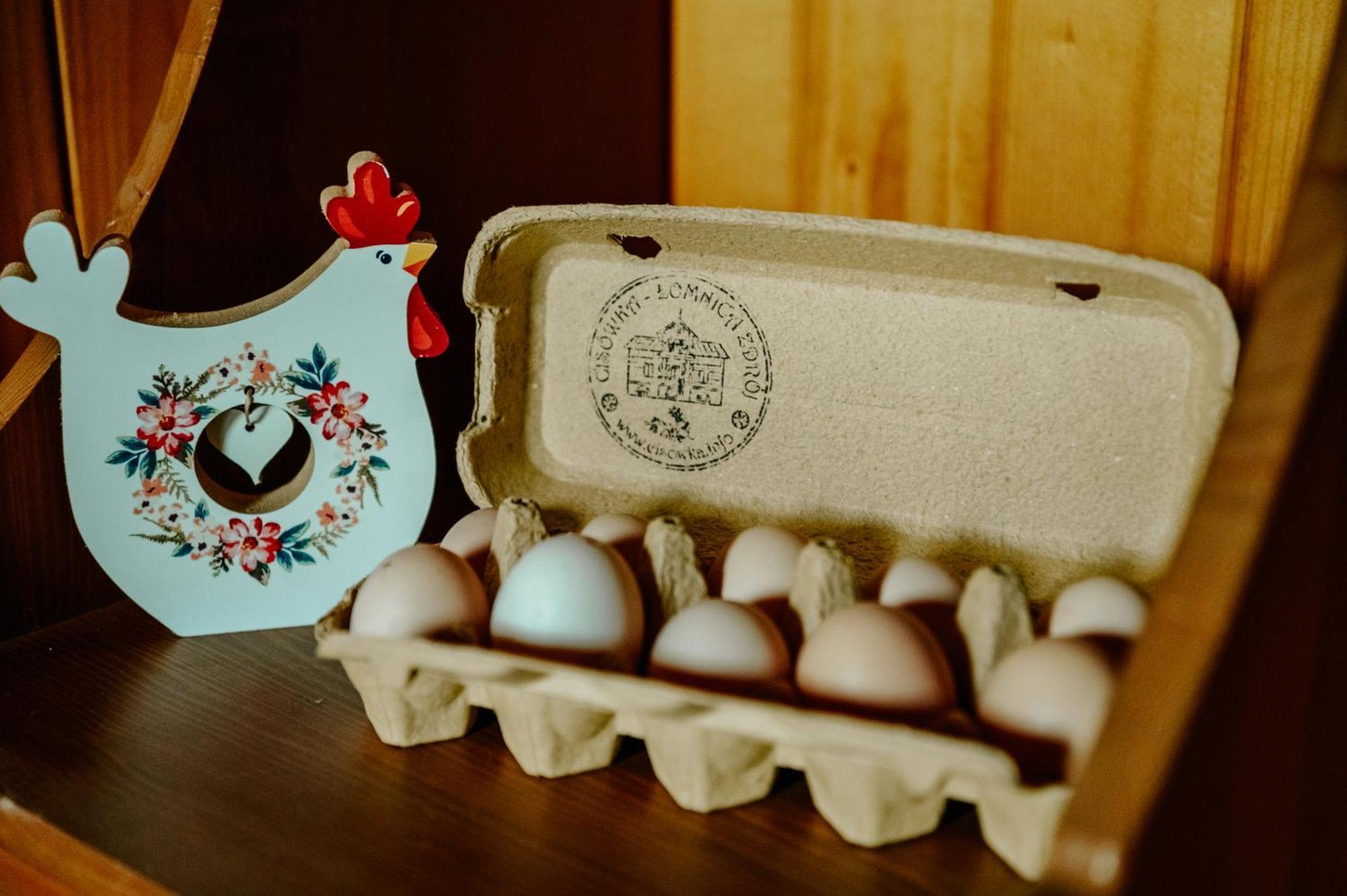 Cisowka Pokoje Goscinne Piwniczna-Zdroj エクステリア 写真